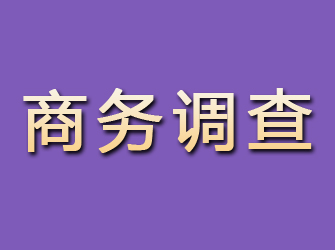 潢川商务调查